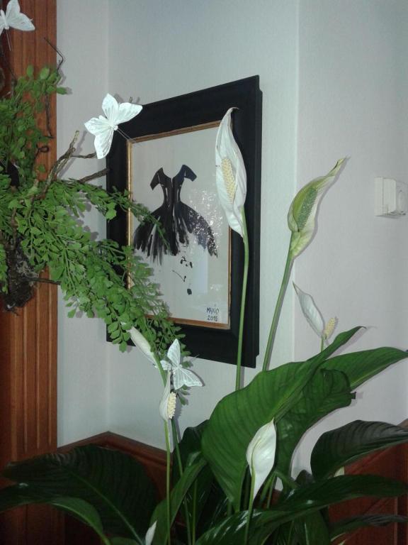 Balneum Boutique Hotel & B&B Баньо ди Романя Екстериор снимка